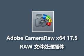 AdobeCameraRaw_x64_17_5