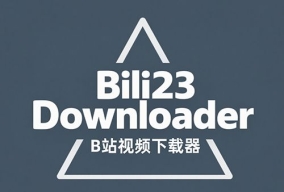 Bili23 Downloader V1.63.1 B站视频下载器