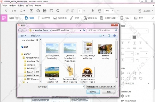 Adobe Acrobat reader DC下载2019.008 官方中文版