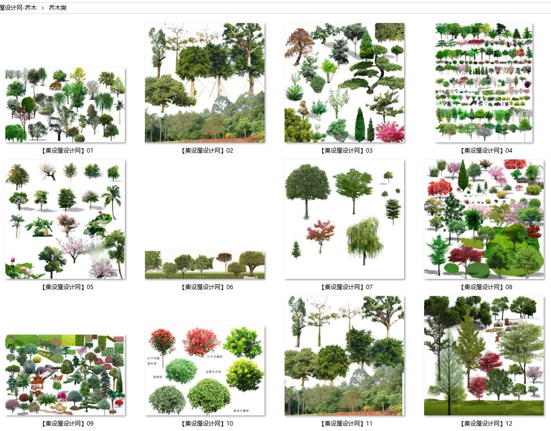 园林景观彩色平面图、建筑景观、植物乔木灌木、古建筑凉亭