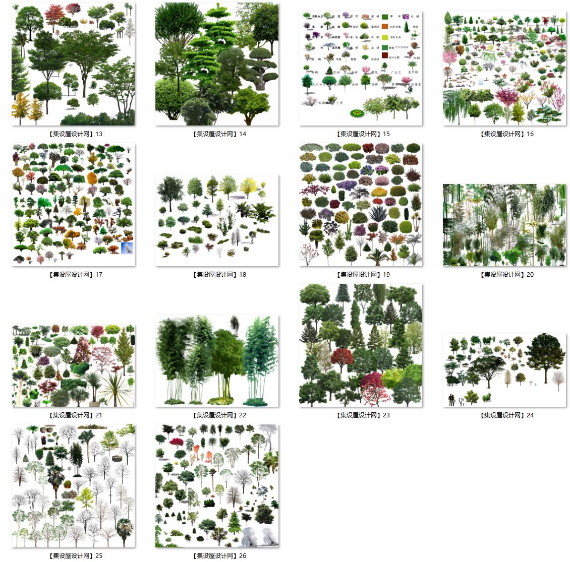 园林景观彩色平面图、建筑景观、植物乔木灌木、古建筑凉亭