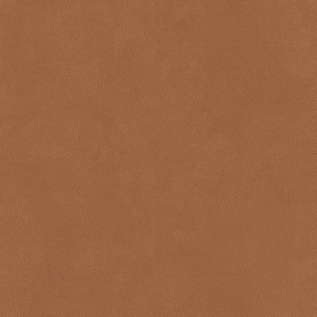 皮革-1