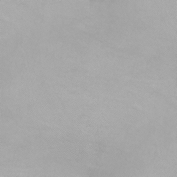 皮革-1