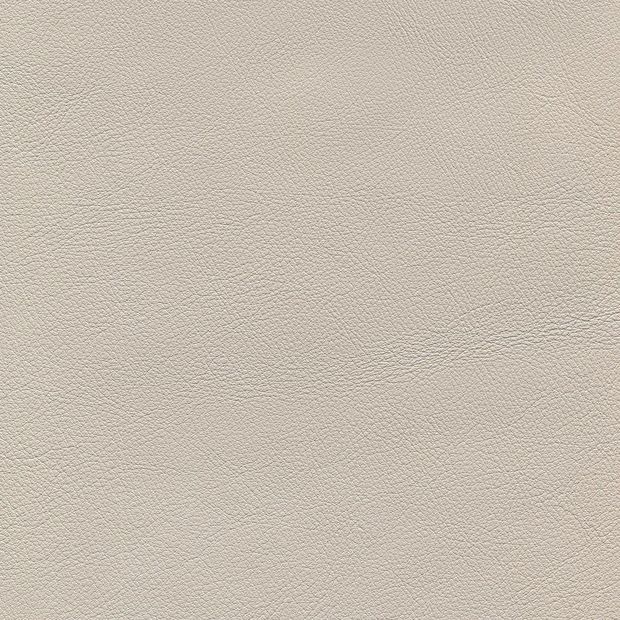 皮革-1