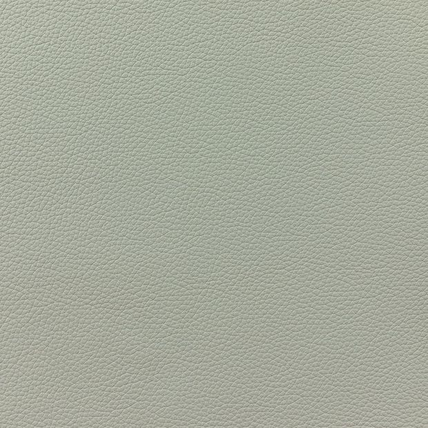 皮革-1